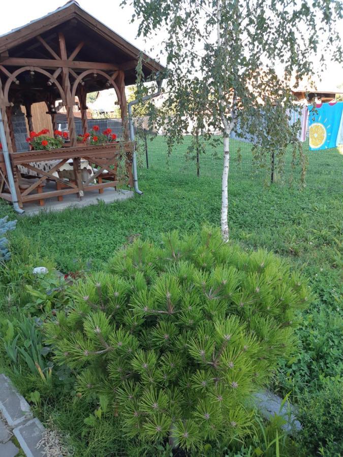 Ibolya-Imola Bed & Breakfast Praid Dış mekan fotoğraf