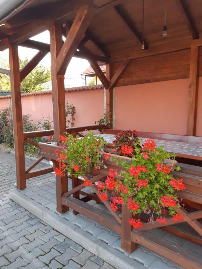 Ibolya-Imola Bed & Breakfast Praid Dış mekan fotoğraf